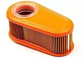 Oro filtras Briggs&Stratton 795066; 1 vnt.