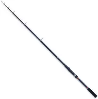 Teleskopinis spiningas Robinson Carbonic Tele-Spin 2,70m, 10-30g