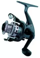 Žieminė Ritė Robinson Dexter FD 101