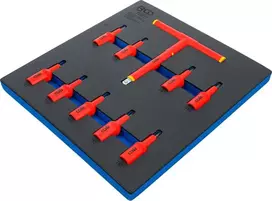 Bgs Technic Įrankių dėklas 2/3: VDE įpresuotų antgalių rinkinys | 12,5 mm (1/2") | T-Star (Torx) T20 - T55 | 10 vnt. (70217)