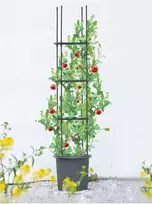 Vazonas su atrama pomidorams TOMATO TUBE, 8x28x148 cm