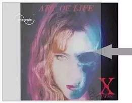 Analogis 6090 Išorinės rankovės vinilinių plokštelių viršeliams