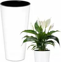 Vazonas Tubus Slim Shine, 300 mm