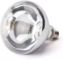 Hendi Infraraudonųjų spindulių lemputė maisto šildymo lempai E27 250W balta