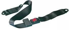 Securon Galinės saugos diržas 2 taškų 164 cm