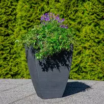 Kvadratinis sodo vazonas 60 cm antracitinis PATIO