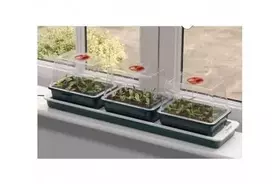 Šildoma elektrinė daigykla "Trio Top" (3 vnt.)