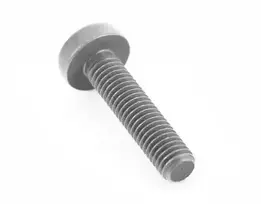 BMW alyvos siurblio varžtas M8X35 Originalus 11417823426