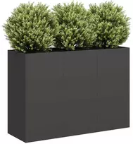 Lovelis, juodos spalvos, 120x40x80cm, šaltai valcuotas plienas