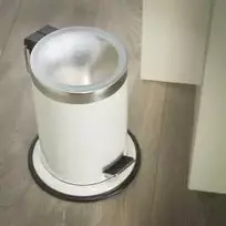 Šiukšliadėžė Sealskin Acero, balta, 3 l