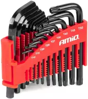HEX ir TORX imbus raktų rinkinys CRV, juodas, 22 vnt., AMIO-04297