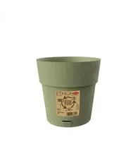 Stefanplast gėlių vazonas su padėklu Ethica Ø15x15cm žalias