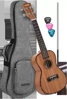 Koncertinė ukulelė Cascha Mahogany HH 2035