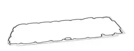 BMW Gasket Steel E90 E91 E92 E93 F07 F10 F11 F06 F12 F13 F01 F02 X5 E70 X5 F15 X6 E71 Originalus 11137809836