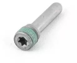 Bolt BMW E87 E46 E90 E91 E92 E93 E39 E60 E61 E63 E64 E38 E65 E66 X3 X5 Originalus 11317806351