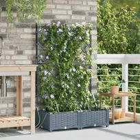 Sodo vazonas 2 pcs Šviesiai Pilka 80 x 40 x 126 cm Plastmasė