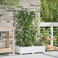 Sodo vazonas 2 vnt. Balta 80 x 40 x 126 cm PP