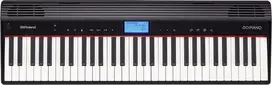 Skaitmeninis pianinas Roland GO:Piano
