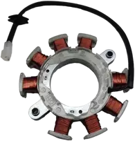 Briggs & Stratton Įkrovimo ritė generatorius Briggs & Stratton 591100 Originali prekė