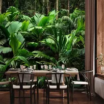 Artgeist Fototapetas - Freshness of the Jungle