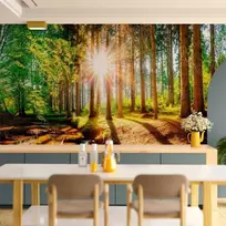 Artgeist Fototapetas - Marvelous Forest