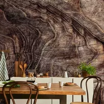 Artgeist Fototapetas - Signs of the times - an abstract background with the wrinkled bark of an old medžio