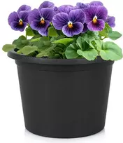 Vilde Plastikinis gėlių vazonas Juodas 20 cm - Sodo vazonas