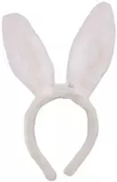Lankelis Kiškio ausys, LED