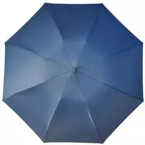 Automatinis tamsiai mėlynas skėtis 'Parachase'