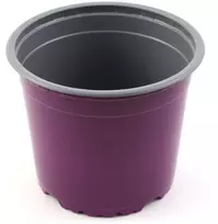 Hortes Apvalus daigų vazonėlis D13cm H9.6cm tamsiai violetinis