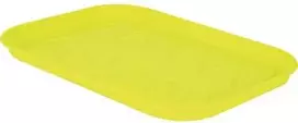 Elho Padėklas daigyklai Žalias Basic S L24cm W17cm H2.2cm plastik./švies.žal.