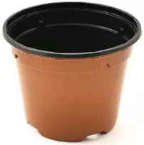 Agro Apvalus vazonėlis daigams D11cm H8.5cm plastikinis/rudas