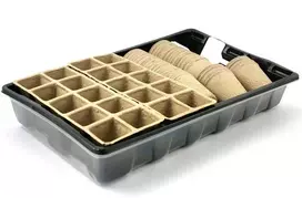 Komplektas daigams auginti 37x23x6cm kartonas/plastikas