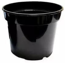 Apvalus vazonėlis daigams Ø15cm H12cm plastikinis/juodas
