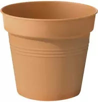 Elho Gėlių vazonas Žalias Basic Growpot D30cm/H28.7cm plastikinis/plastikinis/šv. rudas