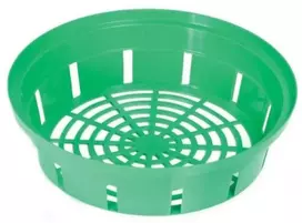 Prosperplast Pintinė svogūninėms gėlėms 23cm žalios