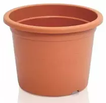 Prosperplast Dekoratyvinis gėlių vazonas Plastica 15cm terakotos sp.