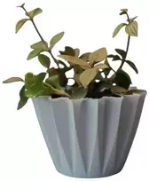 Dekoratyvinis gėlių vazonas Ø10.5cm H10cm baltas