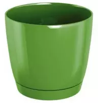 Dekoratyv. gėlių vazonas su padėklu Coubi Round P Ø10cm H9.2cm plastikinis/žalias
