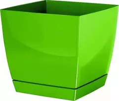 Prosperplast Dekoratyvinis gėlių vazonas su padėklu Coubi Square P 10x10x9.2cm plastikinis/žalias
