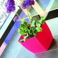 Prosperplast Dekoratyvinis gėlių vazonas su padėklu Coubi Square P 10x10x9.2cm plast./kreminės sp.