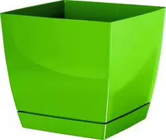 Prosperplast Dekoratyvinis gėlių vazonas su padėklu Coubi Square P 13.5x13.5x12.4cm plastikinis/žalias