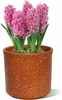 Dekoratyvinis gėlių vazonas Ø13.5cm H13.5cm keraminis/rudas