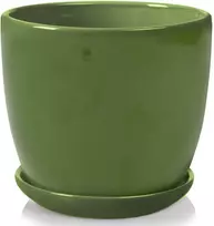 Dekoratyvus gėlių vazonas su padėklu POLNIX Ø13cm/H12cm keraminis/žalias