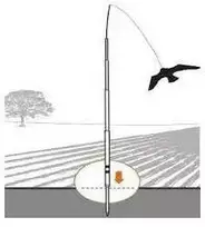 Paukščių baidyklė ,aitvaras "Vanagas"155cm+teleskopinis kotas 8m XLINE