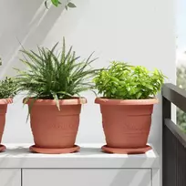 Augalų vazonai 6 pcs Raudona plyta Ø 22 x 18 cm Plastmasė