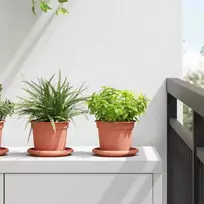 Apvalus gėlių vazonas 6 pcs Raudona plyta Ø 12,5 x 10 cm