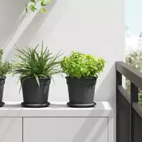 Apvalus gėlių vazonas 24 vnt. Juoda Ø 19 x 16 cm Plastmasė