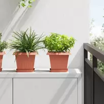Kvadratinis gėlių vazonas 24 pcs Raudona plyta 20 x 20 x 16 cm