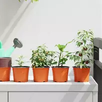 Apvalus gėlių vazonas 100 pcs Terakotos Ø 10 x 8 cm Plastmasė